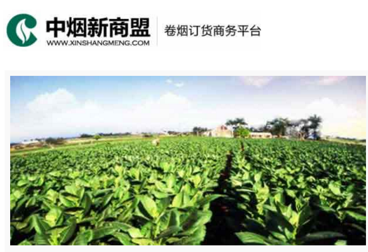 中烟新商盟卷烟订货商务平台-中国彩票网